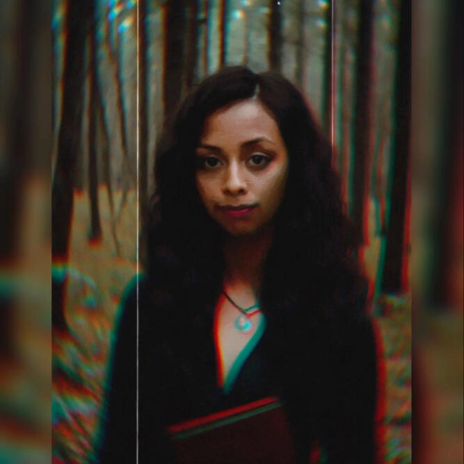 Forest Shoot w/ Effects Forest Shoot w/ Effects